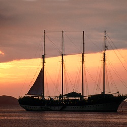 Transport